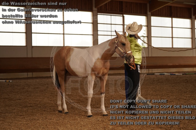 s_A_901208.JPG